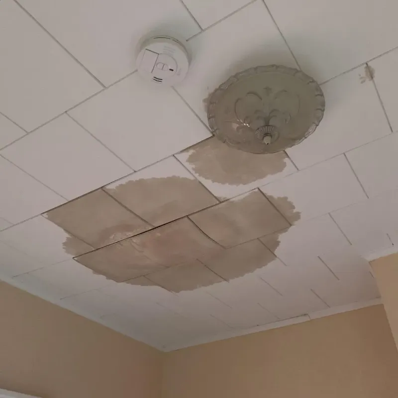 Ceiling Water Damage Repair in Hughes County, SD