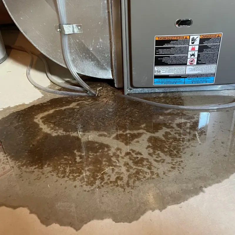 Pipe Burst and Leak Restoration in Hughes County, SD